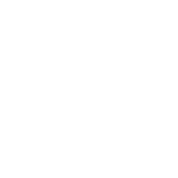 Honda Bikes