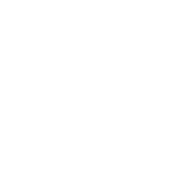 Luxgen