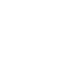 Roewe