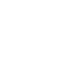 Suzuki bikes