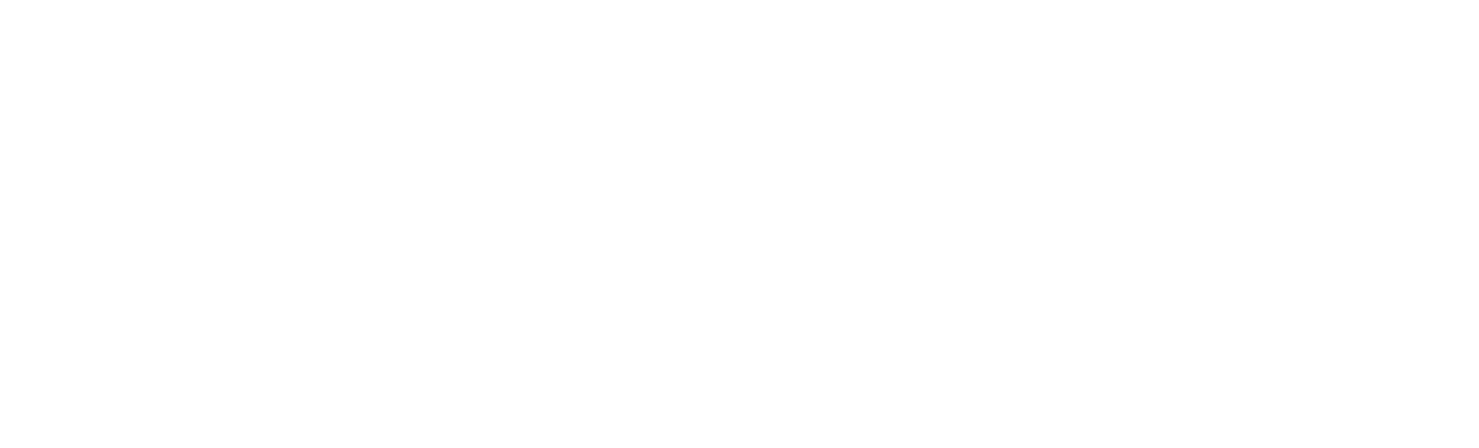 Elnec